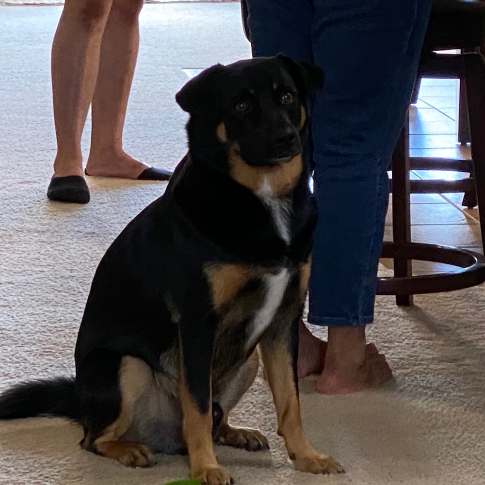 Meet your Posher, Cassie